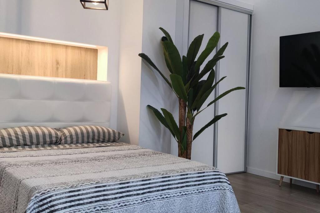 Estudio Diseno Cerca Ciudad Ciencias Vt-55211-V Walencja Zewnętrze zdjęcie